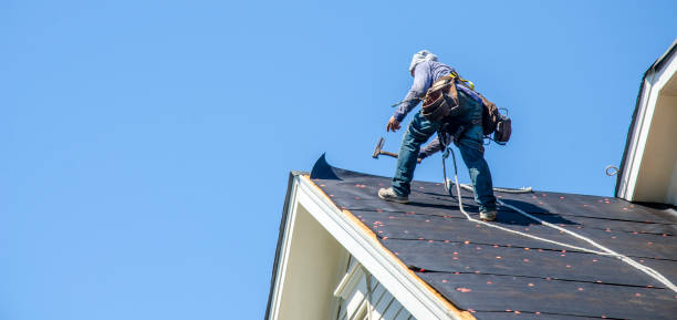 Best Roof Gutter Cleaning  in Spring Valley, NY